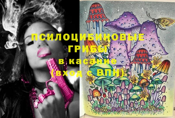гашик Беломорск